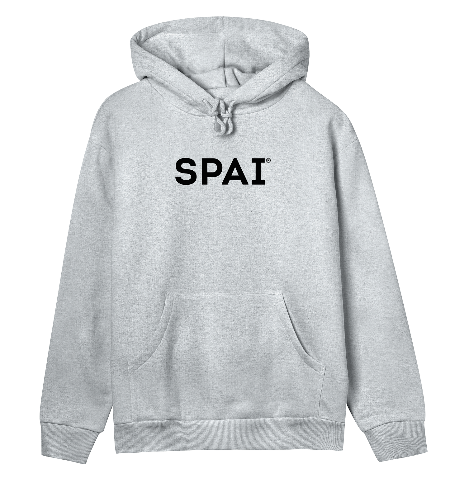 SPAI logo (black text w reg)