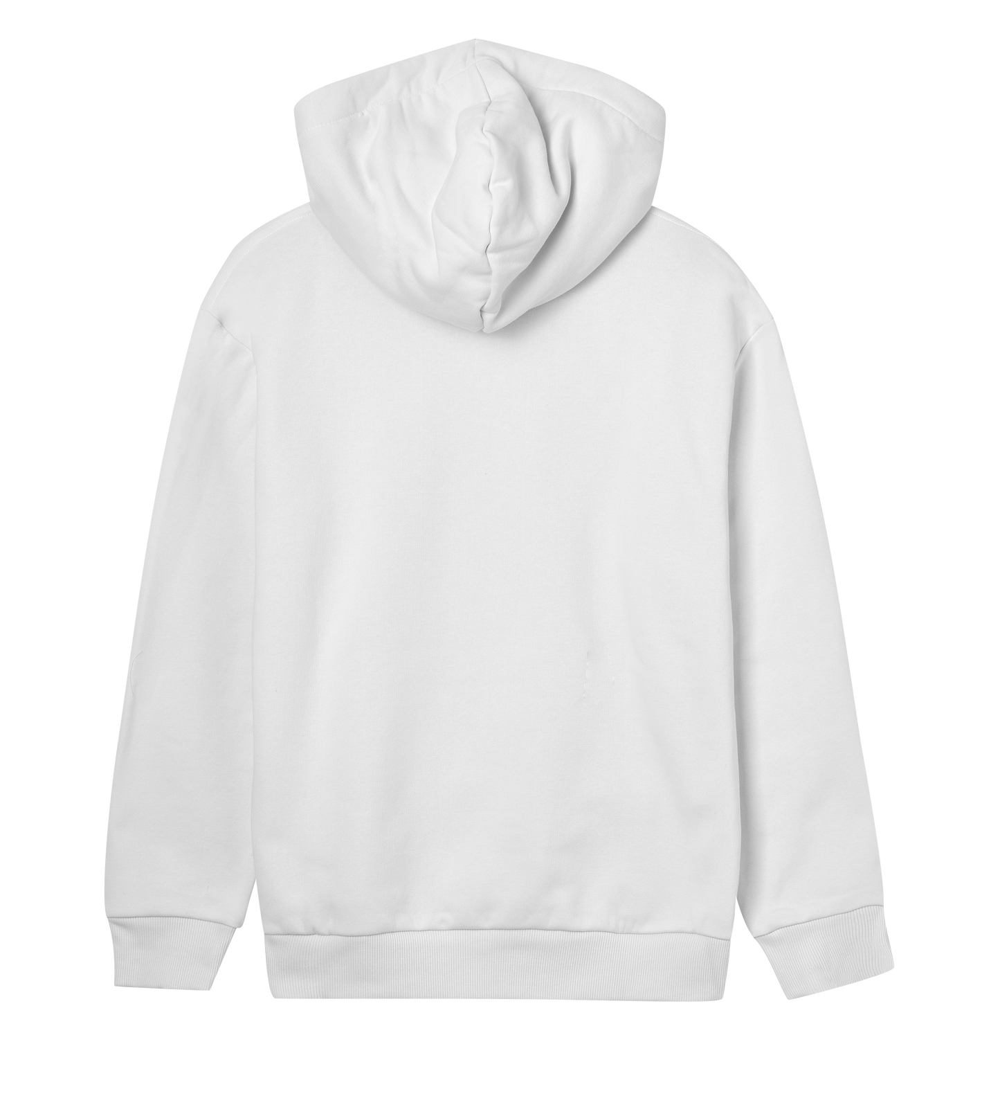SPAI logo (black text w reg)