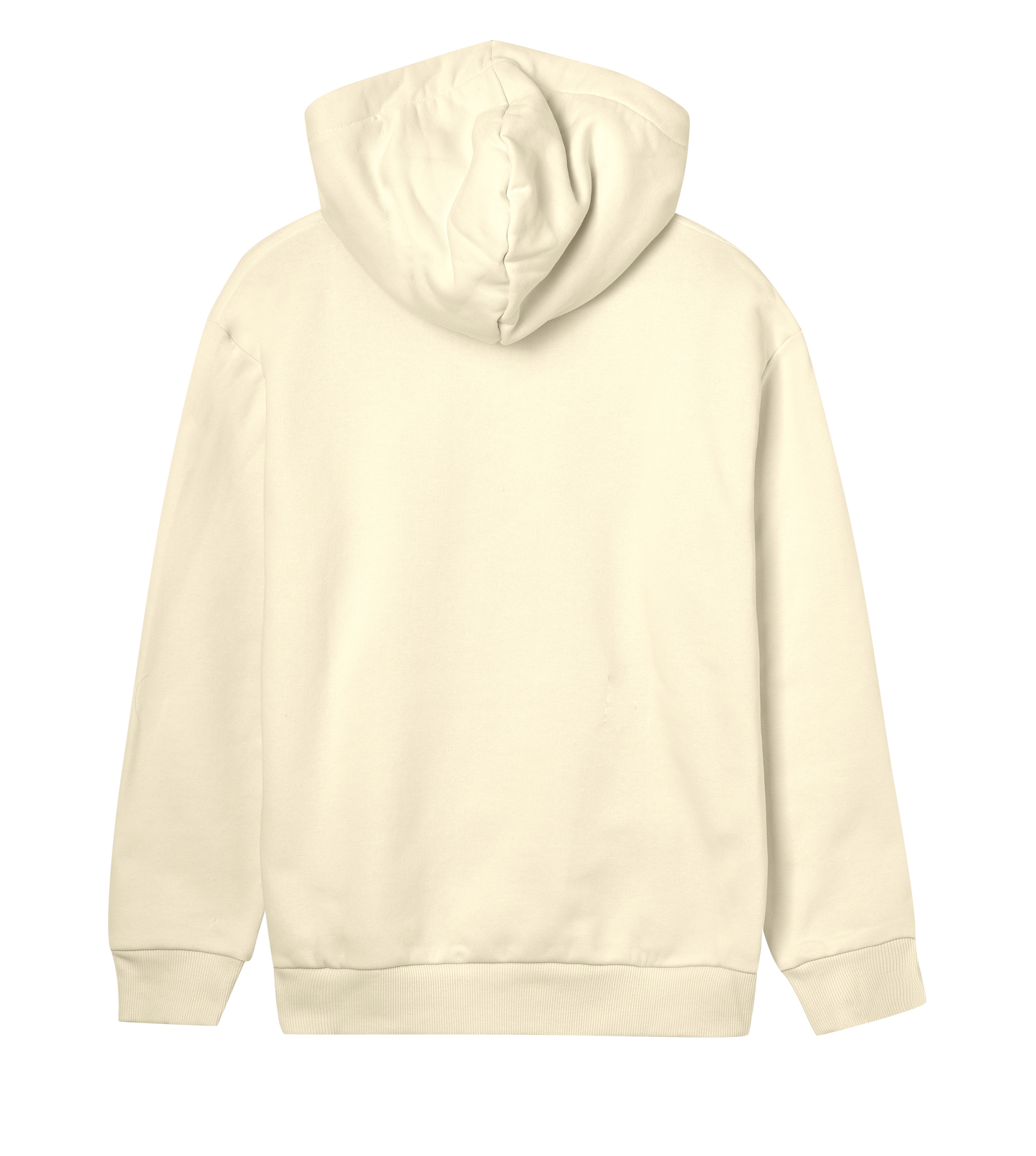 SPAI logo (black text w reg)