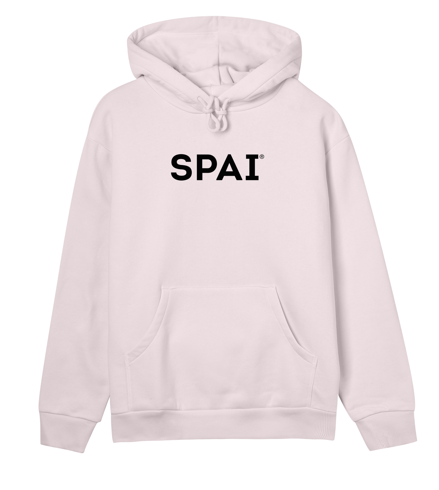SPAI logo (black text w reg)