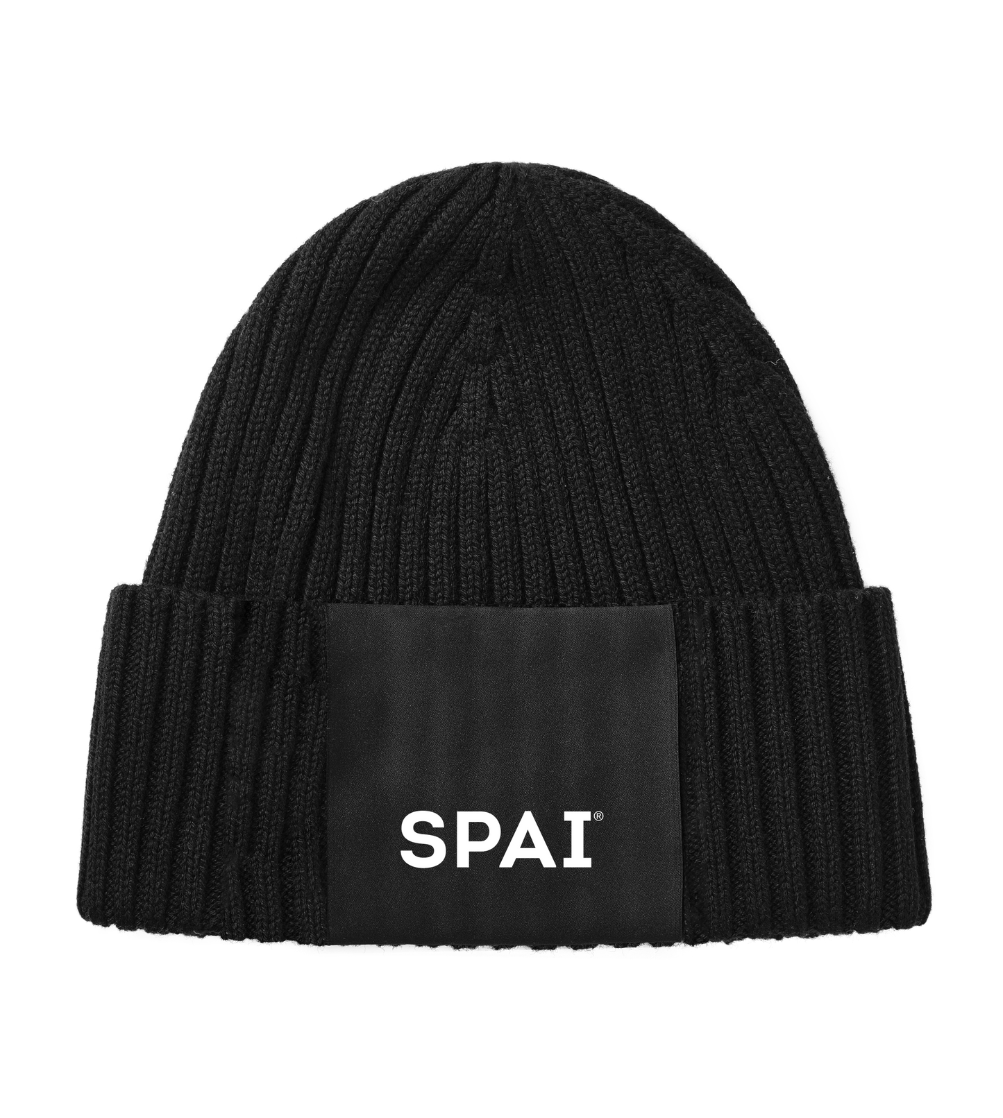 SPAI logo low