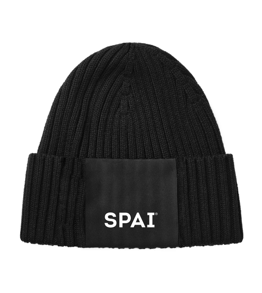 SPAI logo low