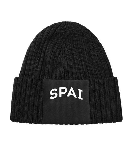 SPAI big logo beanie