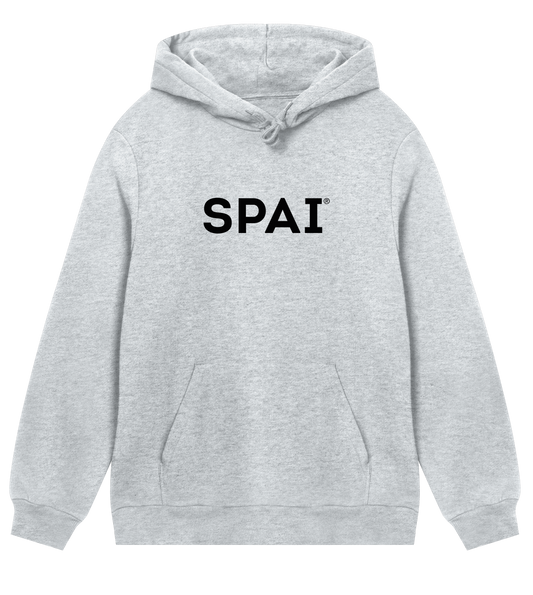 SPAI logo (black on grey m reg)