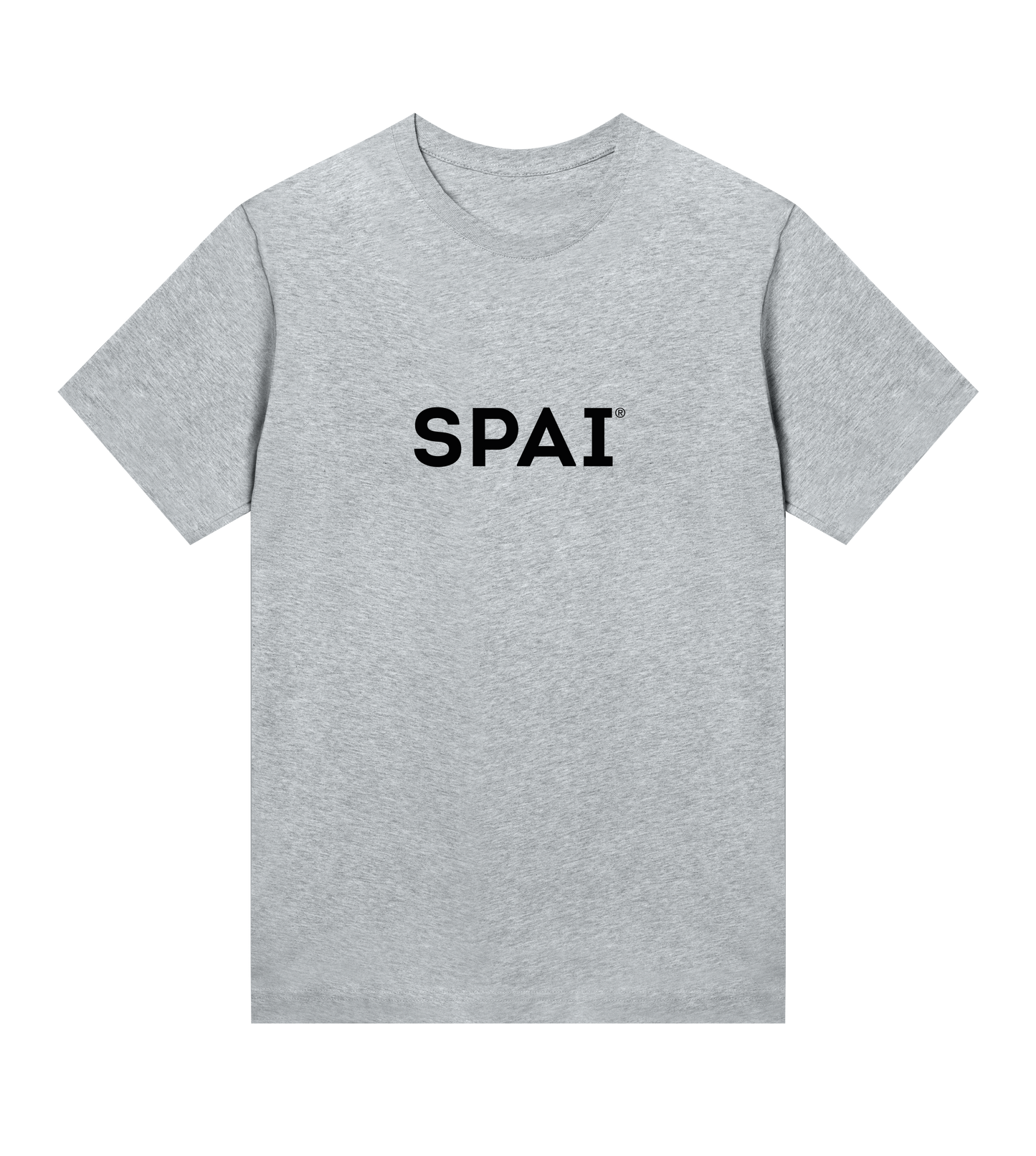 SPAI logo (black on grey w reg)