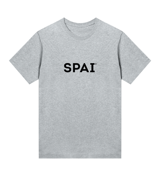 SPAI logo (black on grey w reg)