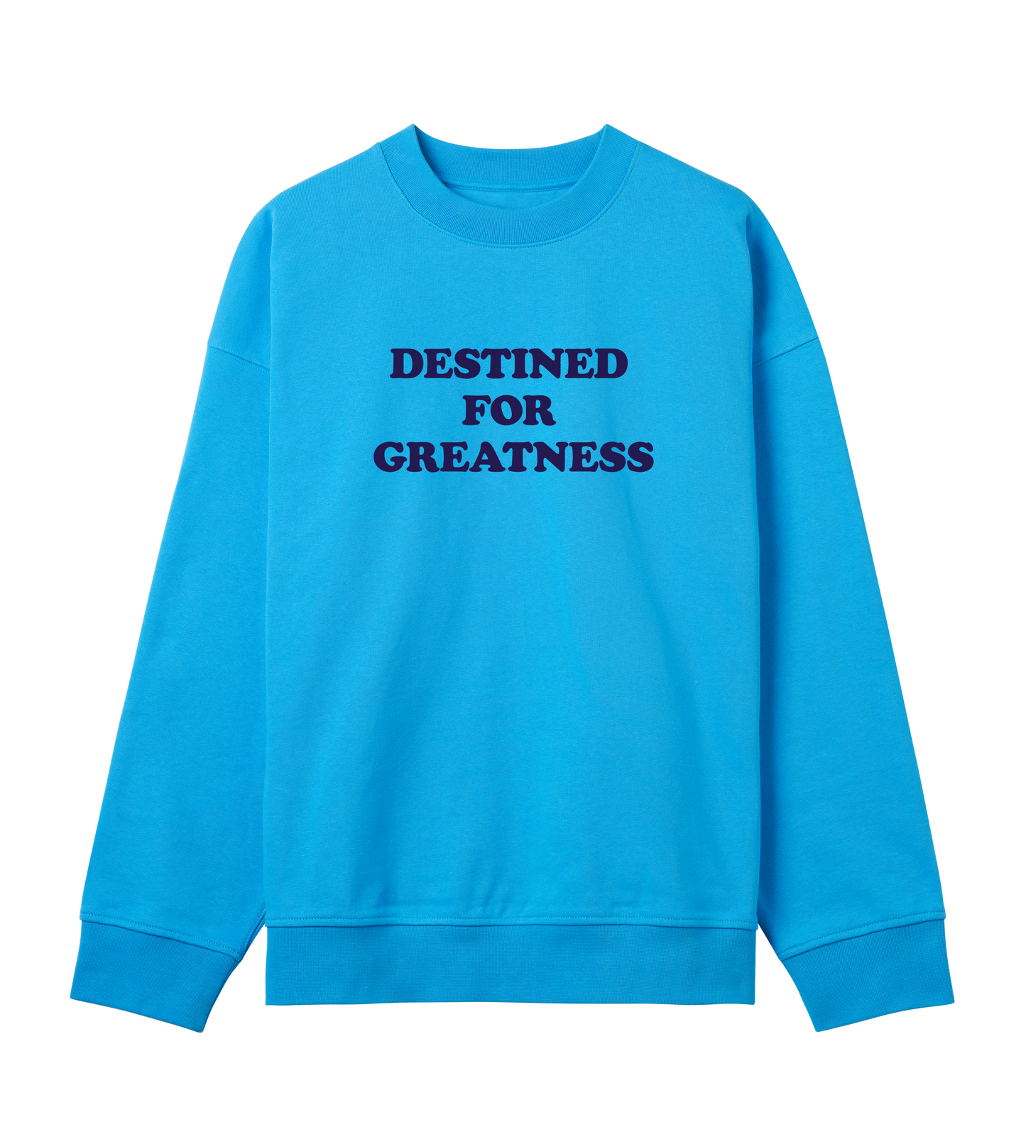 Destined for greatness (mens boxy, blue print)