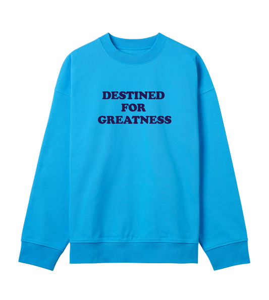 Destined for greatness (mens boxy, blue print)